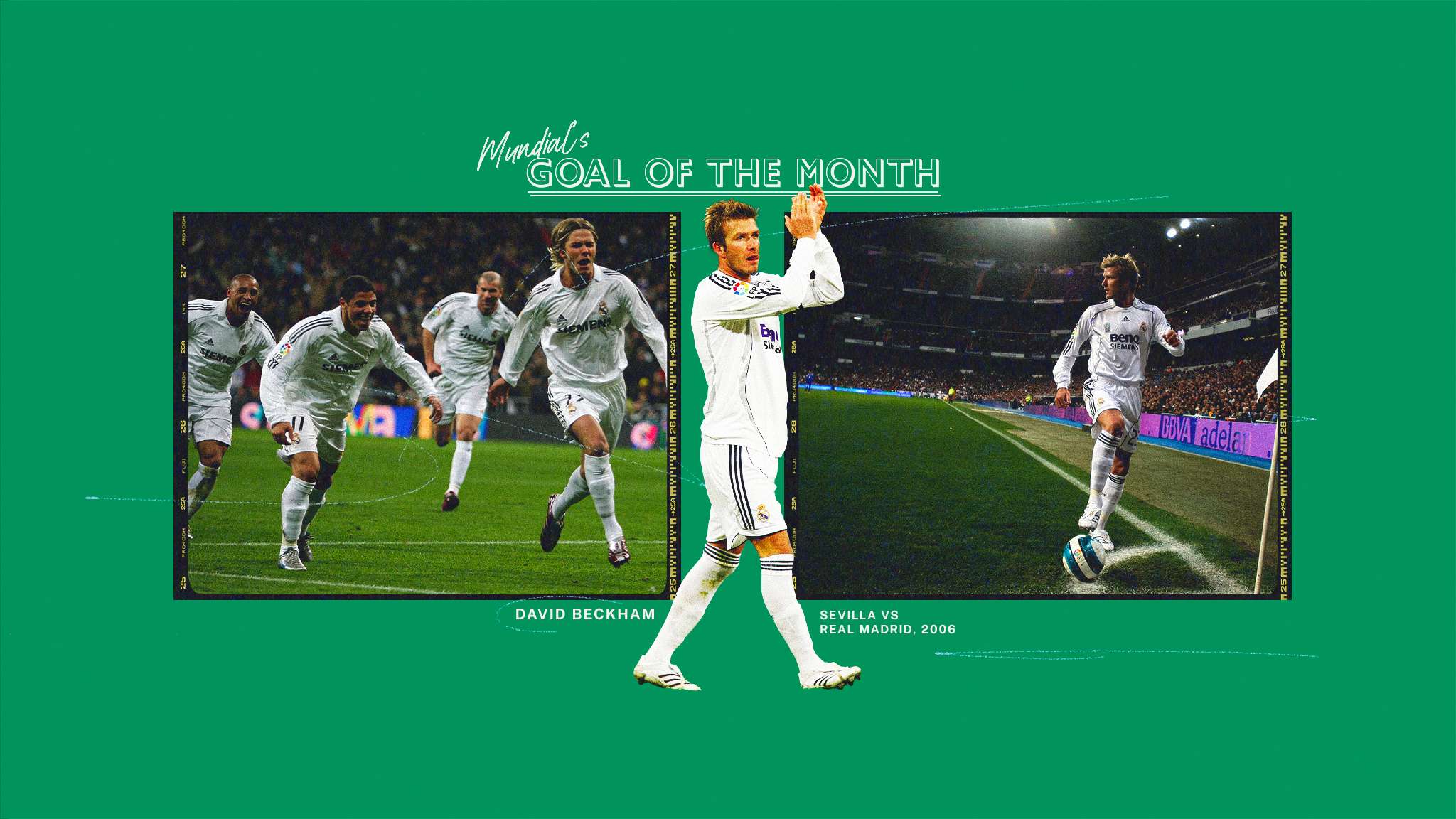 要一位具有 要一位具有